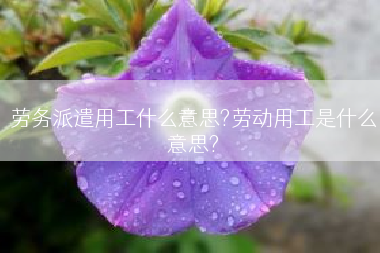 劳务派遣用工什么意思?劳动用工是什么意思?