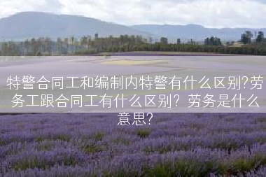 特警合同工和编制内特警有什么区别?劳务工跟合同工有什么区别？劳务是什么意思?