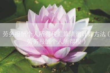 劳务报酬个人所得税汇算清缴计算方法（劳务报酬个人所得税）