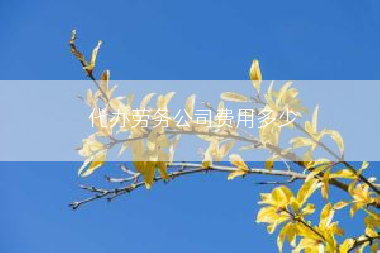 代办劳务公司费用多少