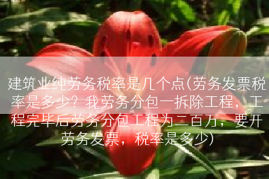 建筑业纯劳务税率是几个点(劳务发票税率是多少？我劳务分包一拆除工程，工程完毕后劳务分包工程为二百万，要开劳务发票，税率是多少)