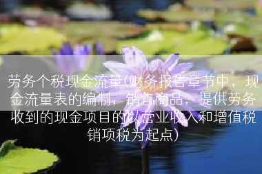 劳务个税现金流量(财务报告章节中，现金流量表的编制，销售商品，提供劳务收到的现金项目的以营业收入和增值税销项税为起点)