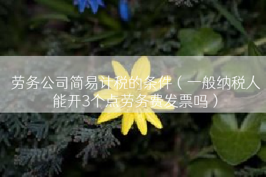 劳务公司简易计税的条件（一般纳税人能开3个点劳务费发票吗）