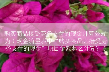 购买商品接受劳务支付的现金计算公式为（现金流量表中“购买商品、接受劳务支付的现金”项目金额怎么计算？）
