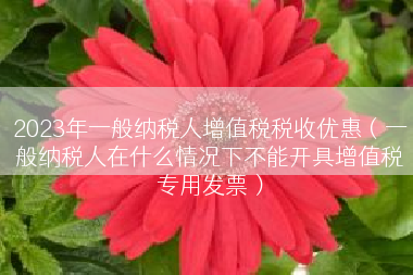 2023年一般纳税人增值税税收优惠（一般纳税人在什么情况下不能开具增值税专用发票）