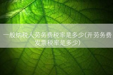 一般纳税人劳务费税率是多少(开劳务费发票税率是多少)