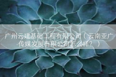 广州云建基础工程有限公司（云南亚广传媒发展有限公司怎么样？）