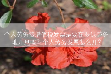 个人劳务费增值税发票是要在提供劳务地开具吗？个人劳务发票怎么开？