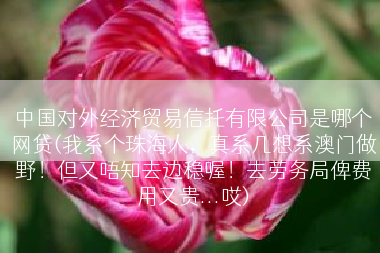 中国对外经济贸易信托有限公司是哪个网贷(我系个珠海人，真系几想系澳门做野！但又唔知去边稳喔！去劳务局俾费用又贵...哎)