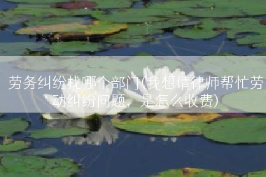 劳务纠纷找哪个部门(我想请律师帮忙劳动纠纷问题，是怎么收费)
