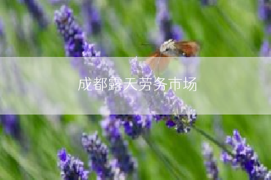 成都露天劳务市场