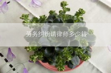 劳务纠纷请律师多少钱