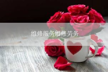 维修服务维修劳务
