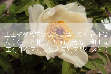 工工整整写字认认真真读书堂堂正正做人（在一个电子厂里面。劳务工和正式工有什么区别，最大区别又是什么？）