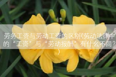 劳务工资与劳动工资的区别(劳动法律中的“工资”与“劳动报酬”有什么不同？)