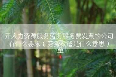 开人力资源服务劳务服务费发票的公司有什么要求（劳务派遣是什么意思）