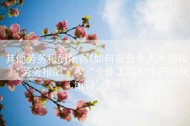 其他劳务报酬所得(如何区分个人所得税“劳务报酬”和“个体工商户生产经营所得”？)