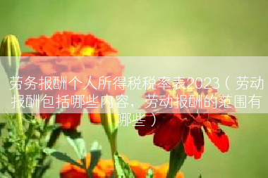劳务报酬个人所得税税率表2023（劳动报酬包括哪些内容，劳动报酬的范围有哪些）