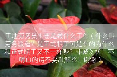 工地劳务员主要是做什么工作（什么叫劳务派遣？是正式职工可是有的为什么和正式职工又不一样呢？非诚勿扰！不明白的请不要乱解答！谢谢）