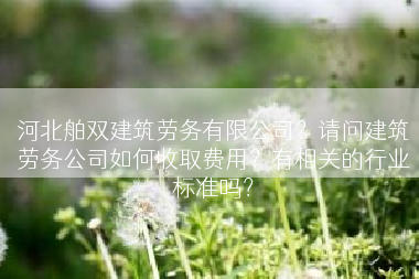 河北舶双建筑劳务有限公司？请问建筑劳务公司如何收取费用？有相关的行业标准吗？