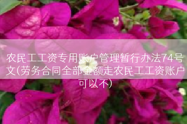 农民工工资专用账户管理暂行办法74号文(劳务合同全部金额走农民工工资账户可以不)