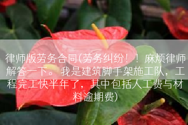 律师版劳务合同(劳务纠纷！！麻烦律师解答一下。 我是建筑脚手架施工队，工程完工快半年了，其中包括人工费与材料逾期费)