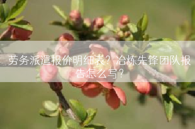 劳务派遣报价明细表？冶炼先锋团队报告怎么写？