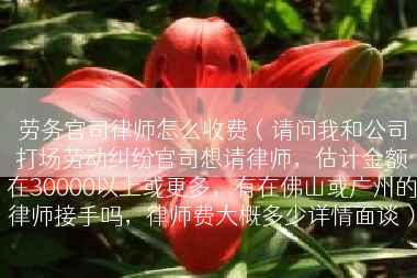 劳务官司律师怎么收费（请问我和公司打场劳动纠纷官司想请律师，估计金额在30000以上或更多，有在佛山或广州的律师接手吗，律师费大概多少详情面谈）