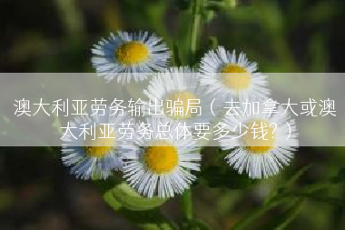 澳大利亚劳务输出骗局（去加拿大或澳大利亚劳务总体要多少钱?）