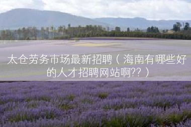 太仓劳务市场最新招聘（海南有哪些好的人才招聘网站啊??）