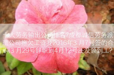 十大劳务输出公司排名?成都诚信劳务派遣公司拖欠工资我2016年3 月7号签的合同3 月29号辞职到4月12号还没领到工?