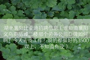 湖北襄阳比亚迪招聘信息（谁知道襄阳义乌商品城二楼那个劳务公司口碑如何啊？今天去找工作？说的都挺好的3500以上，不知道有没）