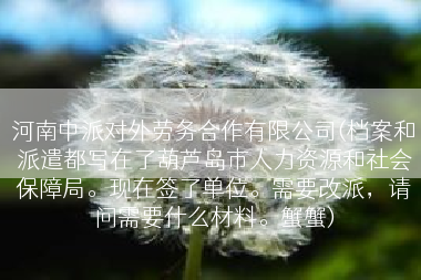 河南中派对外劳务合作有限公司(档案和派遣都写在了葫芦岛市人力资源和社会保障局。现在签了单位。需要改派，请问需要什么材料。蟹蟹)