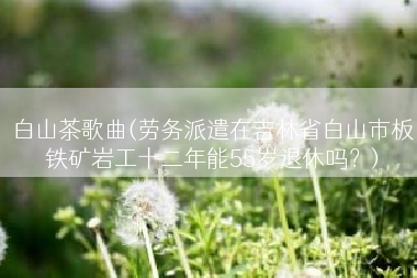 白山茶歌曲(劳务派遣在吉林省白山市板铁矿岩工十二年能55岁退休吗？)