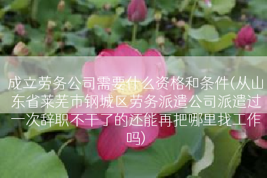 成立劳务公司需要什么资格和条件(从山东省莱芜市钢城区劳务派遣公司派遣过一次辞职不干了的还能再把哪里找工作吗)