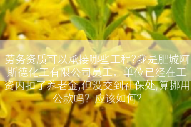 劳务资质可以承接哪些工程?我是肥城阿斯德化工有限公司员工，单位已经在工资内扣了养老金,但没交到社保处,算挪用公款吗？应该如何?