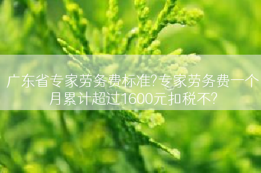 广东省专家劳务费标准?专家劳务费一个月累计超过1600元扣税不?