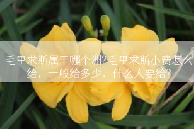 毛里求斯属于哪个洲?毛里求斯小费怎么给，一般给多少，什么人要给?