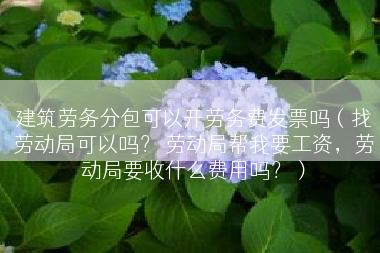 建筑劳务分包可以开劳务费发票吗（找劳动局可以吗？ 劳动局帮我要工资，劳动局要收什么费用吗？）