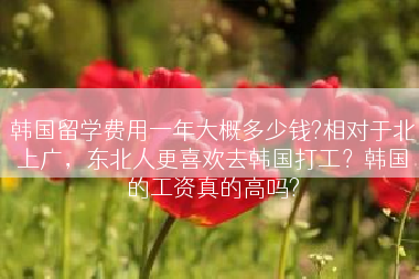 韩国留学费用一年大概多少钱?相对于北上广，东北人更喜欢去韩国打工？韩国的工资真的高吗?