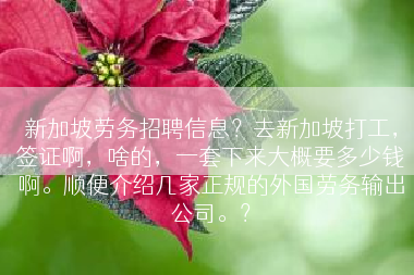 新加坡劳务招聘信息？去新加坡打工，签证啊，啥的，一套下来大概要多少钱啊。顺便介绍几家正规的外国劳务输出公司。？