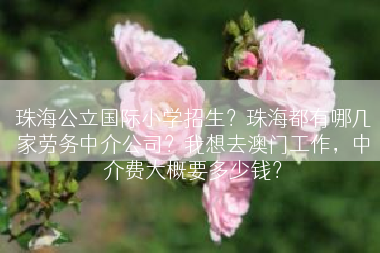 珠海公立国际小学招生？珠海都有哪几家劳务中介公司？我想去澳门工作，中介费大概要多少钱？