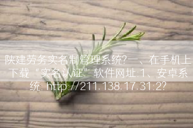 陕建劳务实名制管理系统?一、在手机上下载“实名认证”软件网址:1、安卓系统: http://211.138.17.31:2?