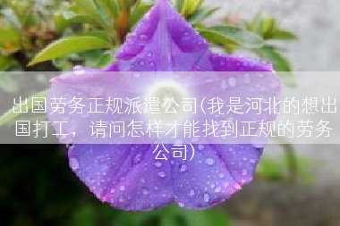 出国劳务正规派遣公司(我是河北的想出国打工，请问怎样才能找到正规的劳务公司)