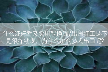 什么证好考又实用能挣钱?出国打工是不是很挣钱啊，为什么那么多人出国呢?