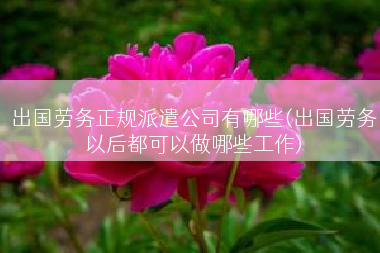 出国劳务正规派遣公司有哪些(出国劳务以后都可以做哪些工作)