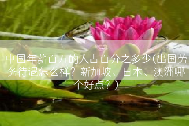 中国年薪百万的人占百分之多少(出国劳务待遇怎么样?新加坡、日本、澳洲哪个好点?) 中国年薪百万的人占百分之多少(出国劳务待遇怎么样?新加坡、日本、澳洲哪个好点?)