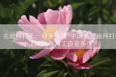 去迪拜打工一月多少钱?中国人到迪拜打小工平均每月工资是多少?