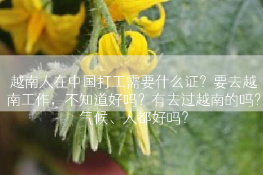 越南人在中国打工需要什么证？要去越南工作，不知道好吗？有去过越南的吗？气候、人都好吗？