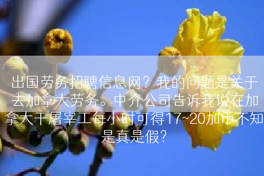 出国劳务招聘信息网？我的问题是关于去加拿大劳务。中介公司告诉我说在加拿大干屠宰工每小时可得17~20加币不知是真是假？